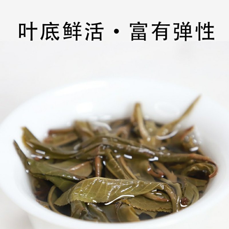 高货冰岛片区2019年明前早春茶357g生茶饼茶