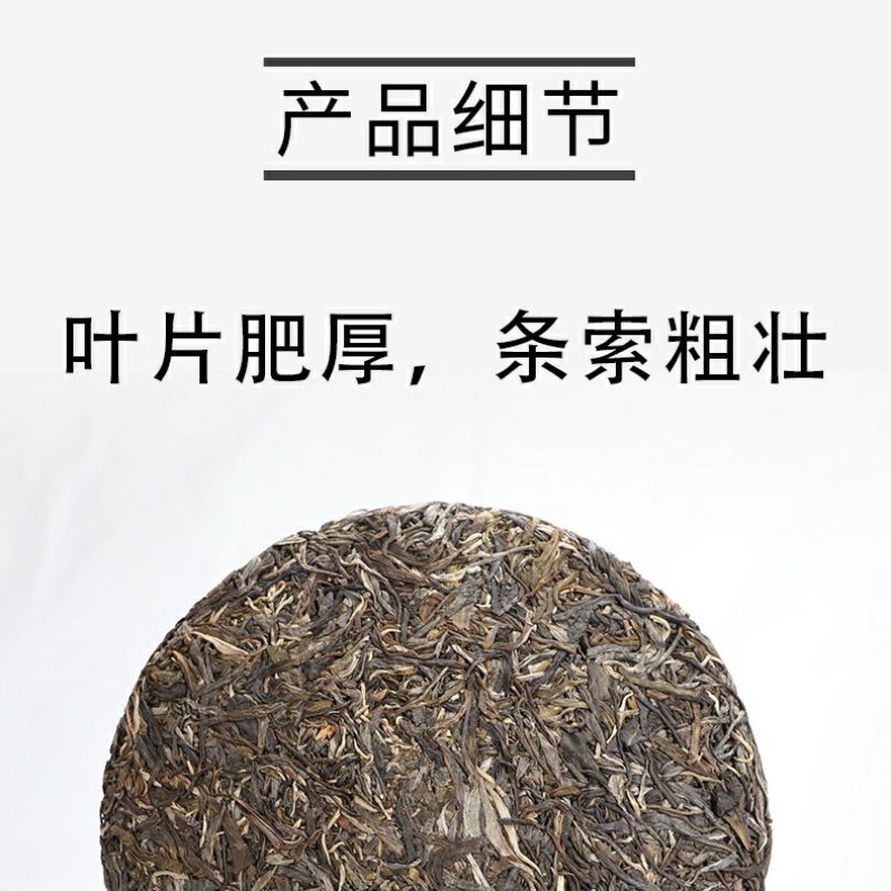 高货冰岛片区2019年明前早春茶357g生茶饼茶