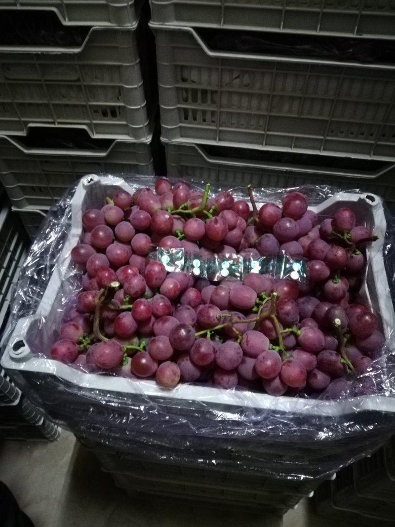 红提