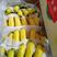 三保质量打的就是质量问题常年供应各种香蕉量大来盘