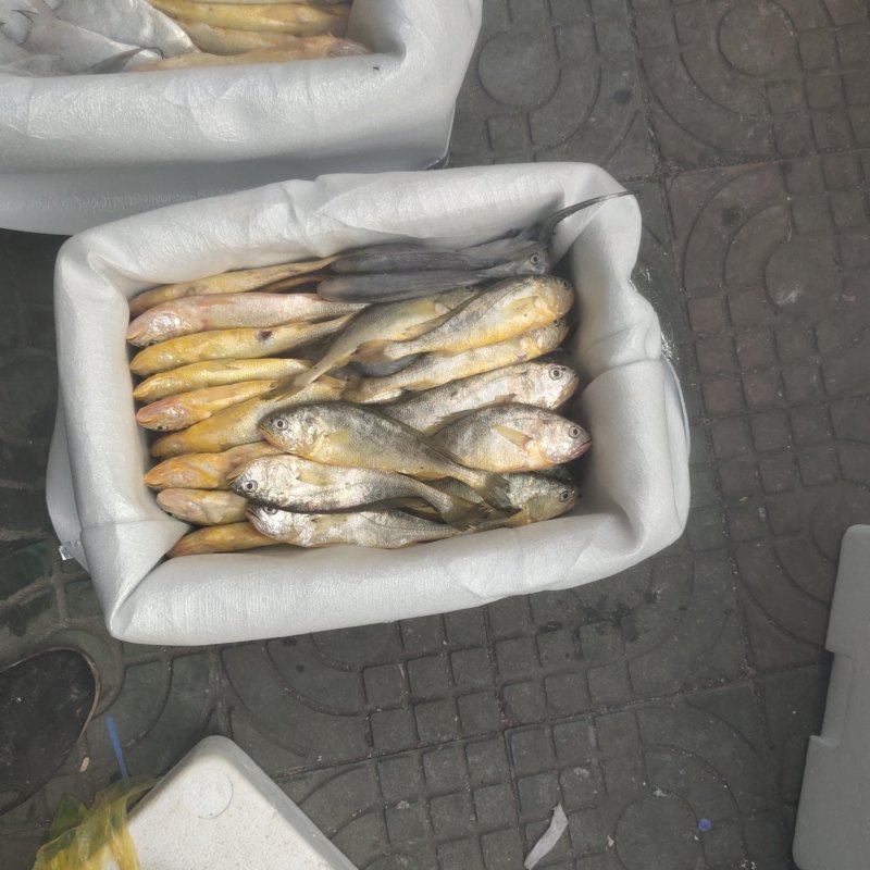 海鲜
