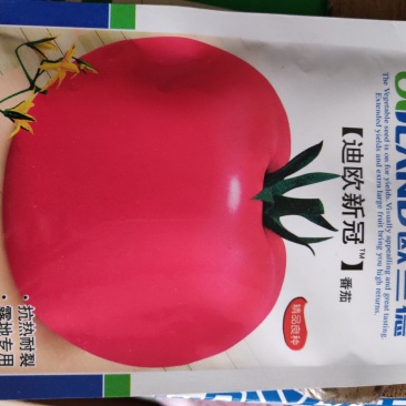 欧兰德迪欧新冠粉果番茄种子