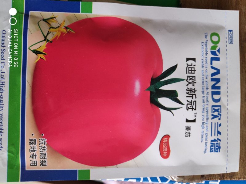 欧兰德迪欧新冠粉果番茄种子