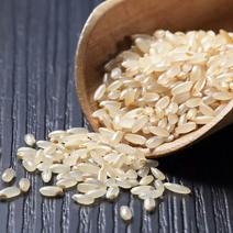 糙米优质糙米22年新货健身粗粮低脂五谷杂粮5斤起批散货