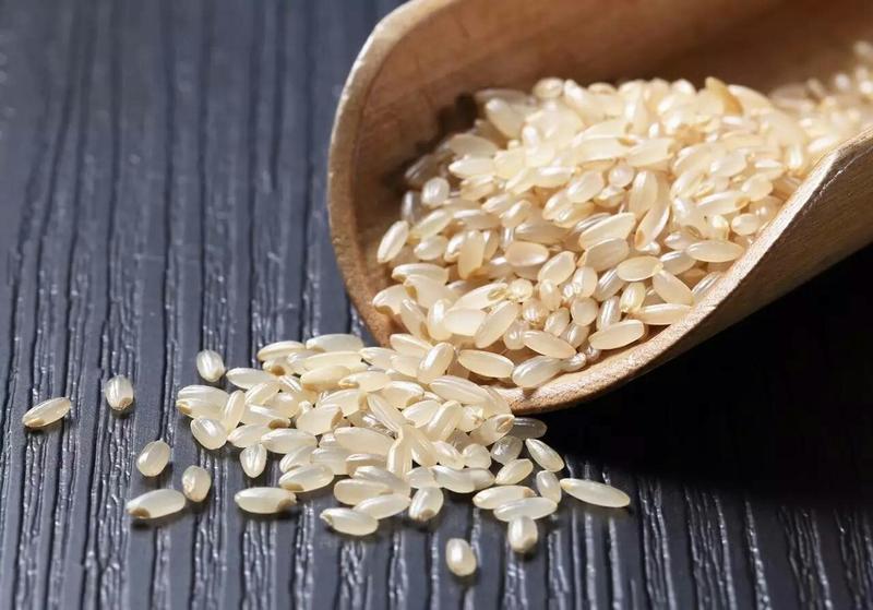 糙米优质糙米22年新货健身粗粮低脂五谷杂粮5斤起批散货