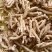 西洋参吉林无硫小片打粉抓方好原料含量高包邮