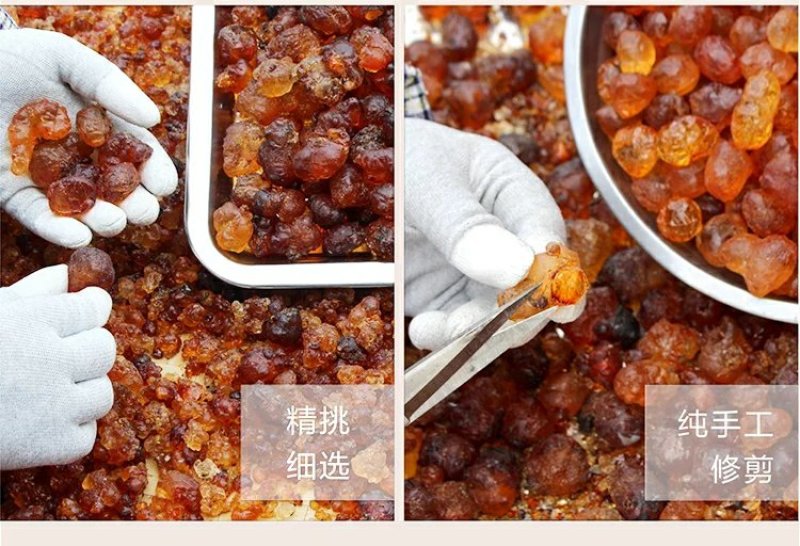 桃胶植物桃山桃树皮中分泌出来的树脂又名桃油