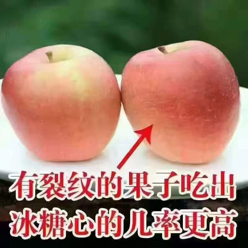 热销山东红富士苹果，个头大颜色鲜口感脆甜，一手货质量保证