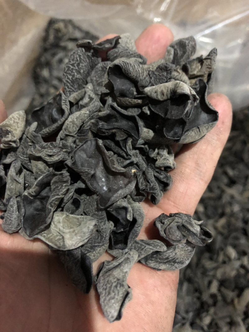 木耳特级东北黑木耳东北特产泡发率高营养丰富
