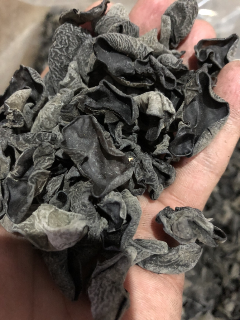 木耳特级东北黑木耳东北特产泡发率高营养丰富