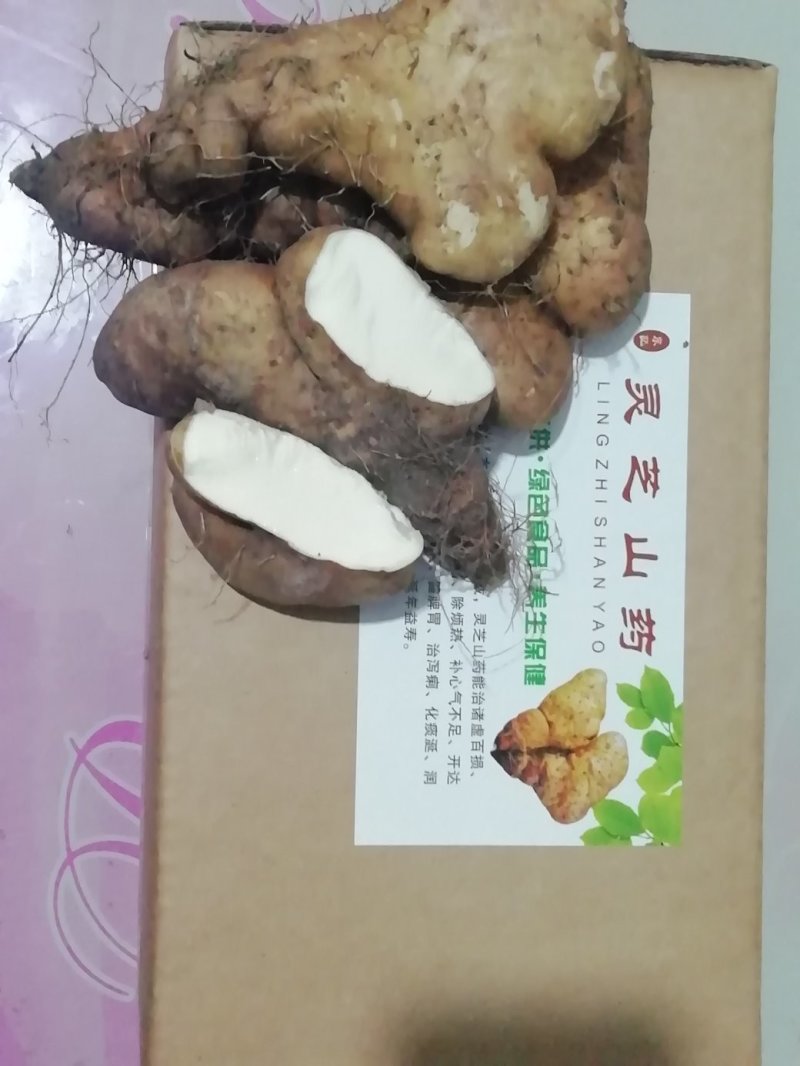 灵芝山药