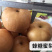 梨树新品种蜂糖蜜梨苗高糖水分大核小已申请产权保护