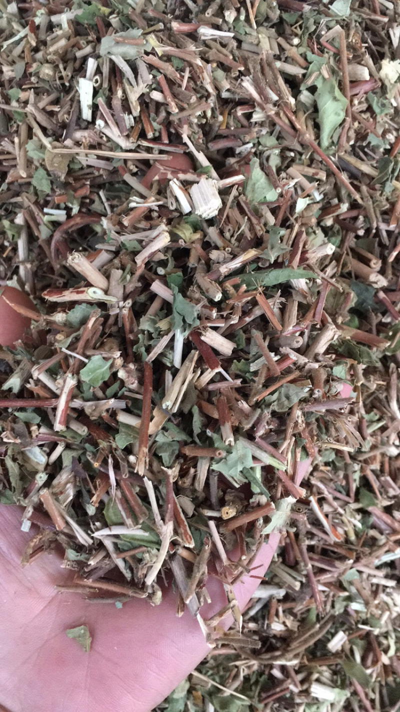 银花藤银花藤银花藤量大包邮