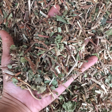 银花藤银花藤银花藤量大包邮