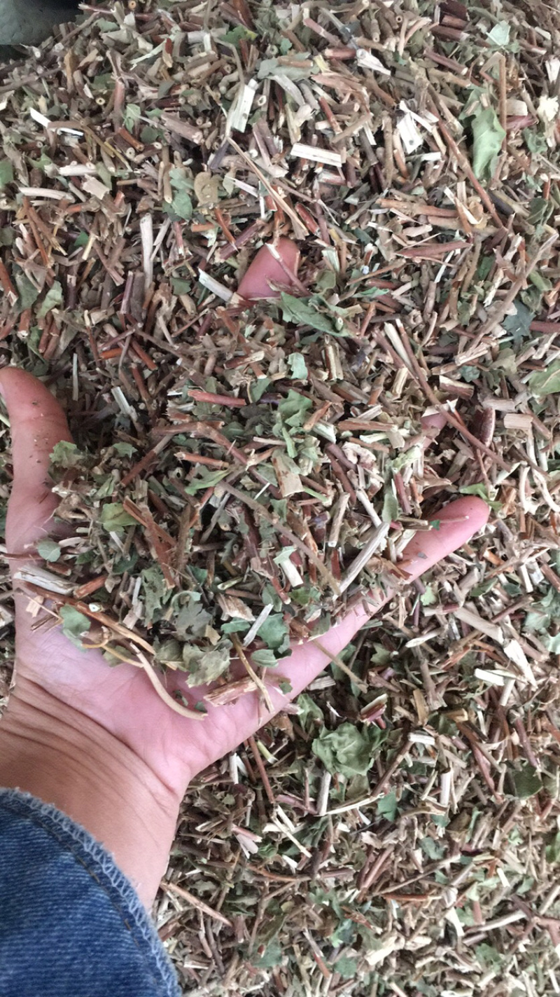 银花藤银花藤银花藤量大包邮