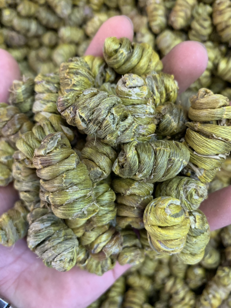 精品铁皮石斛枫斗大颗粒