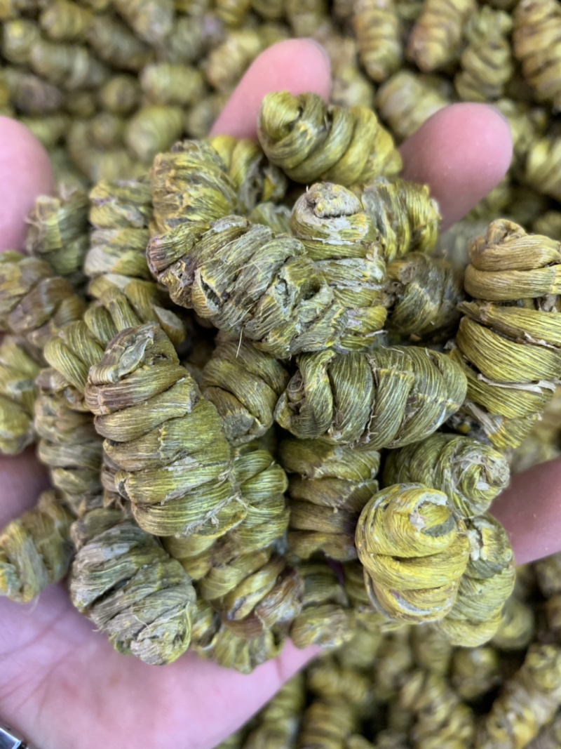 精品铁皮石斛枫斗大颗粒