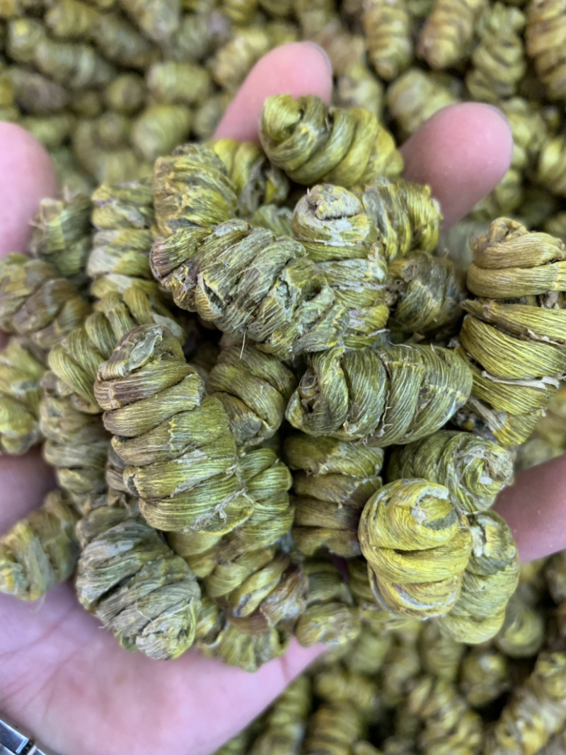 精品铁皮石斛枫斗大颗粒