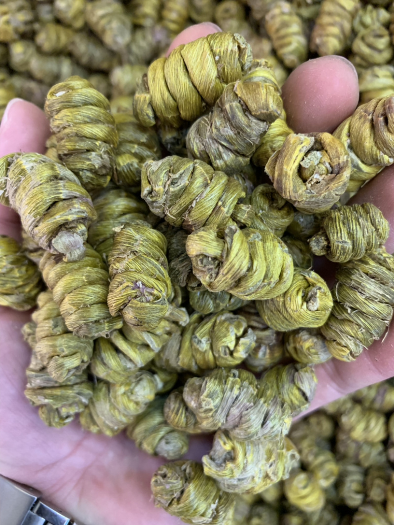 精品铁皮石斛枫斗大颗粒
