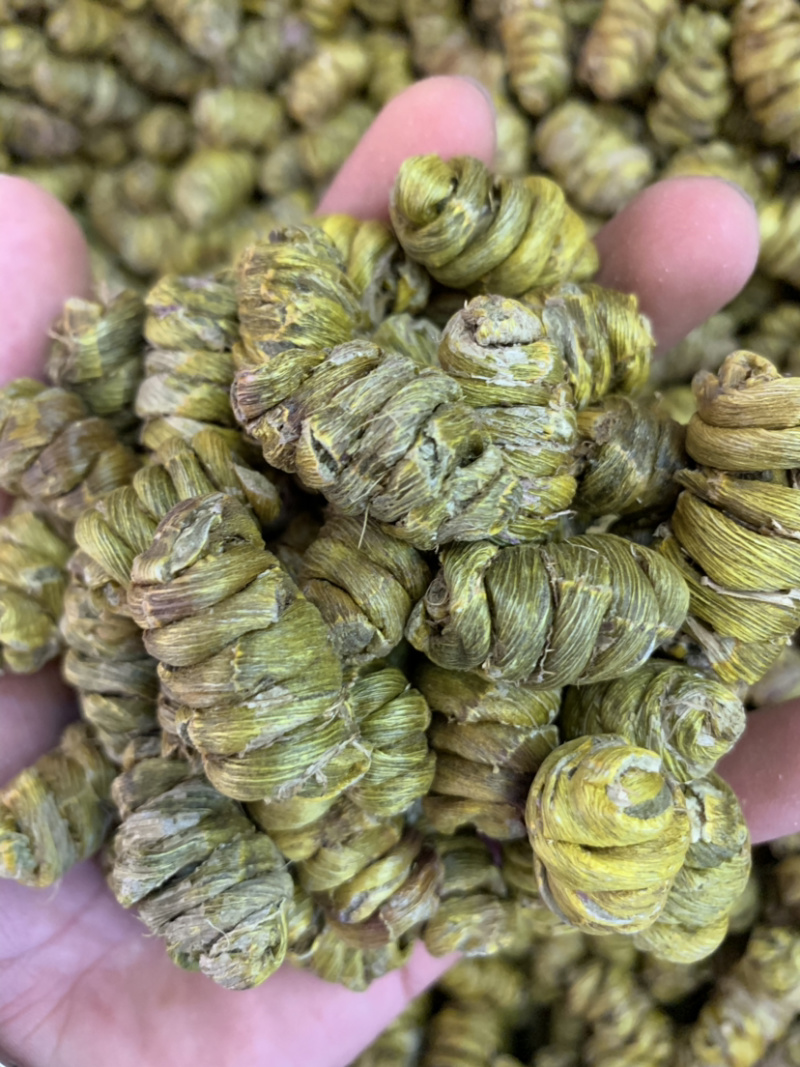 精品铁皮石斛枫斗大颗粒