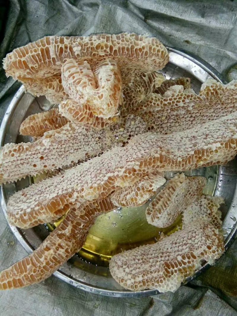 [推荐]缅甸枣花蜜，基地直销，可视频看货，无添加口感纯正