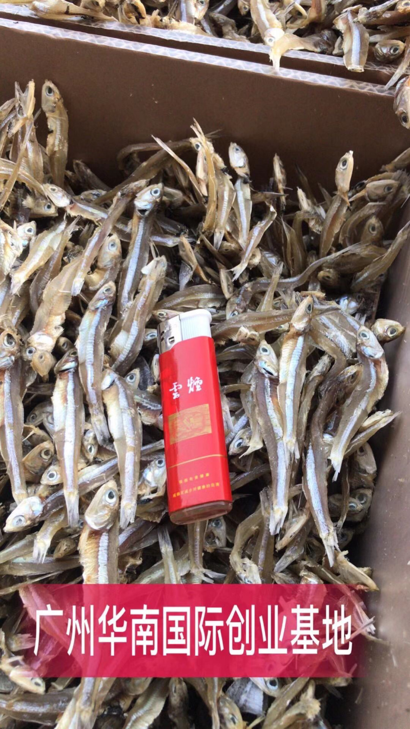 深海天然小鱼干小鱼干