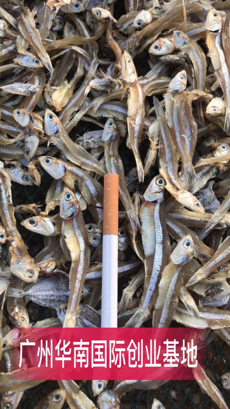 深海天然小鱼干小鱼干