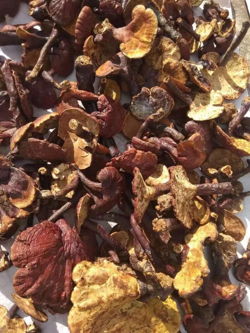 正宗傣族小锅酒，灵芝酒，各类泡酒