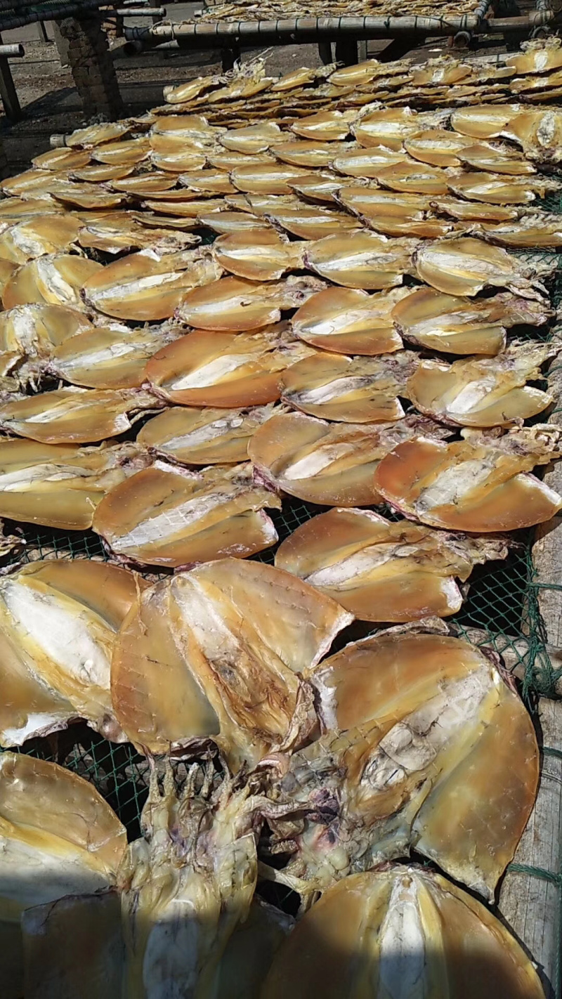 墨鱼干新鲜出炉长期有货保质保量量大优惠