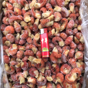 龙虾尾一级