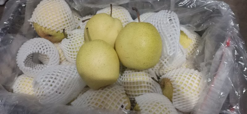 【优质】雪花梨新鲜雪花梨产地直销商超专供