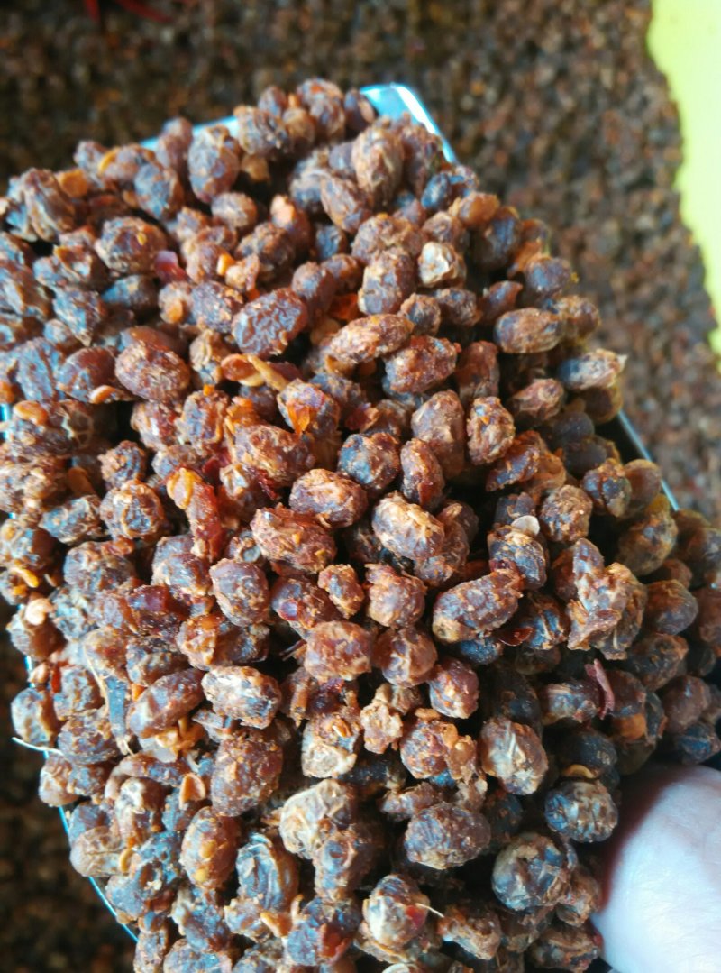 豆豉