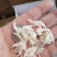 虾皮