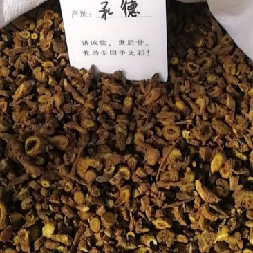 纯承德野生黄芩枯芩安国市泽溢药材行