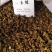 纯承德野生黄芩枯芩安国市泽溢药材行