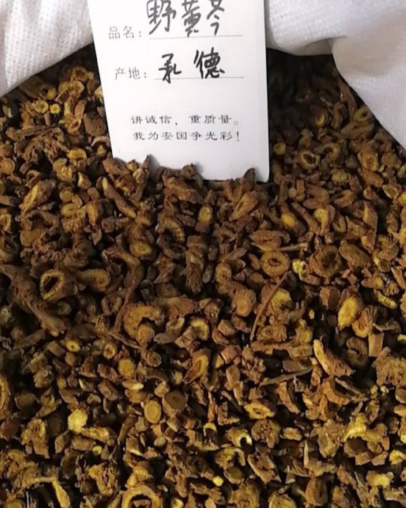 纯承德野生黄芩枯芩安国市泽溢药材行