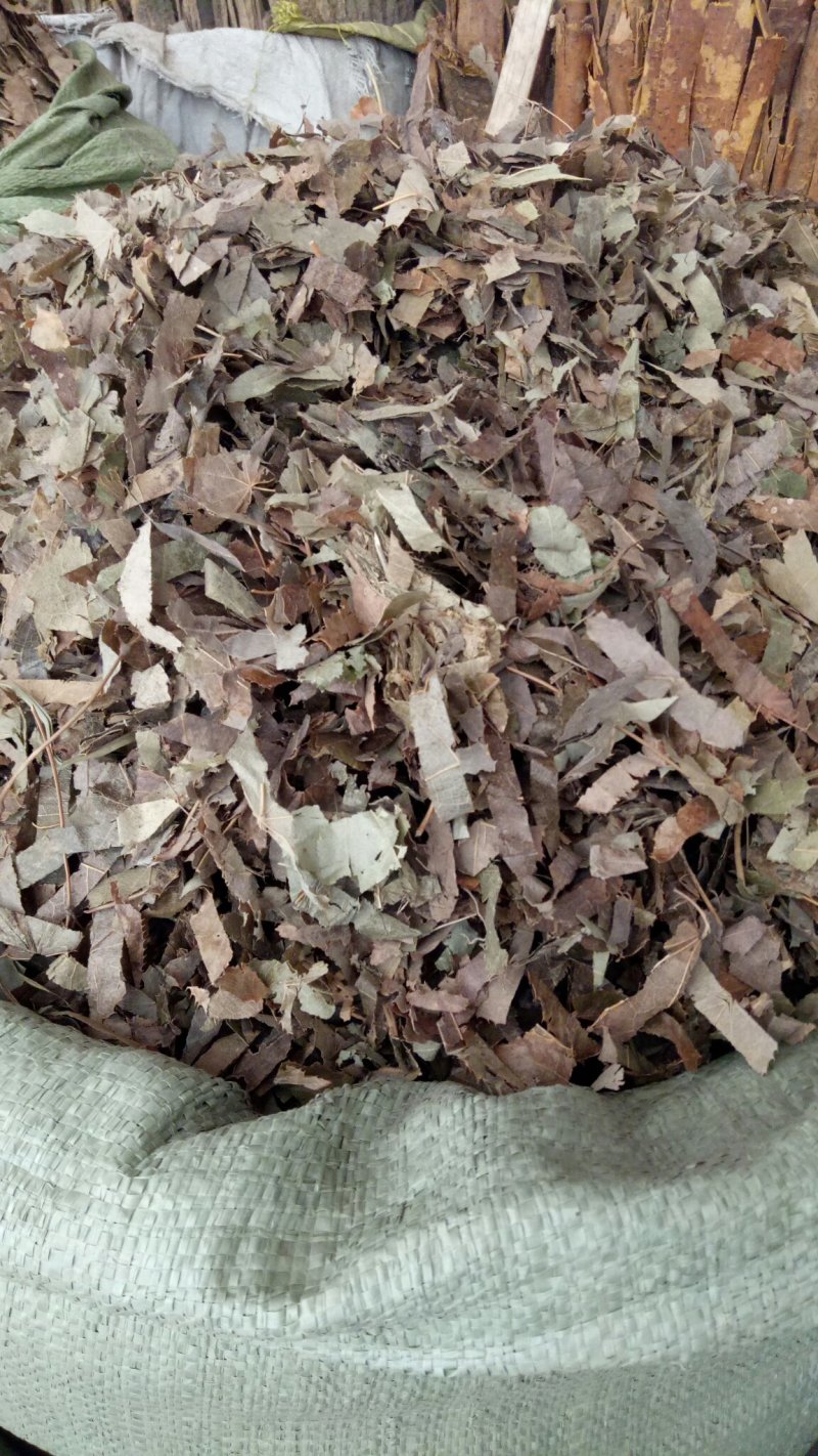 羊角叶淫羊藿