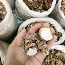 重楼云南野生七叶一枝花无硫（大个片）一斤包邮
