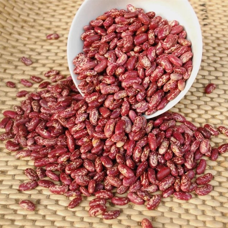 芸豆红芸豆大红豆红腰豆红花豆云豆农家杂粮五谷杂粮