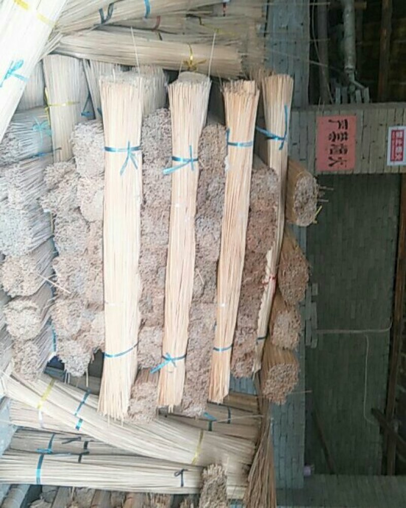 竹类植物