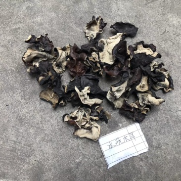 水洗毛木耳，无加工，跑地摊展销的货，关注咨询