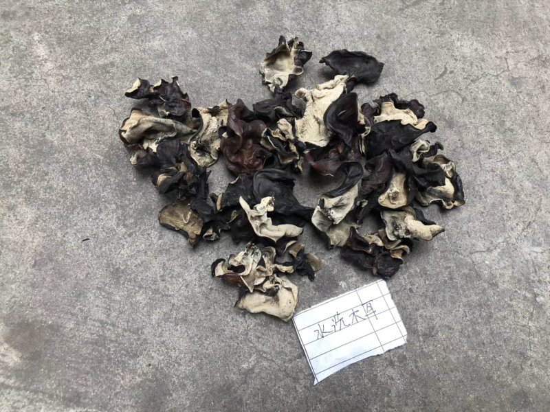水洗毛木耳，无加工，跑地摊展销的货，关注咨询