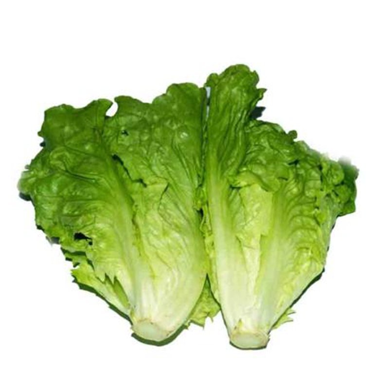 蔬菜种子四季香菜朝天椒菠菜孑韭菜荠菜生菜南瓜葫芦黄瓜丝瓜