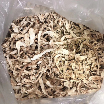 东北特产纯野生松茸干片延边野生松茸干片