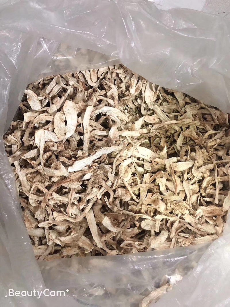 东北特产纯野生松茸干片延边野生松茸干片