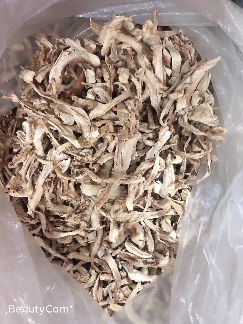 东北特产纯野生松茸干片延边野生松茸干片