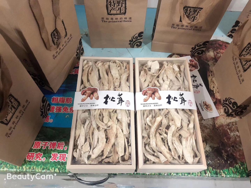 东北特产纯野生松茸干片延边野生松茸干片