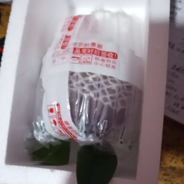黑老虎，专为客户一件代发，现摘先包装，一斤起批，烂果包赔