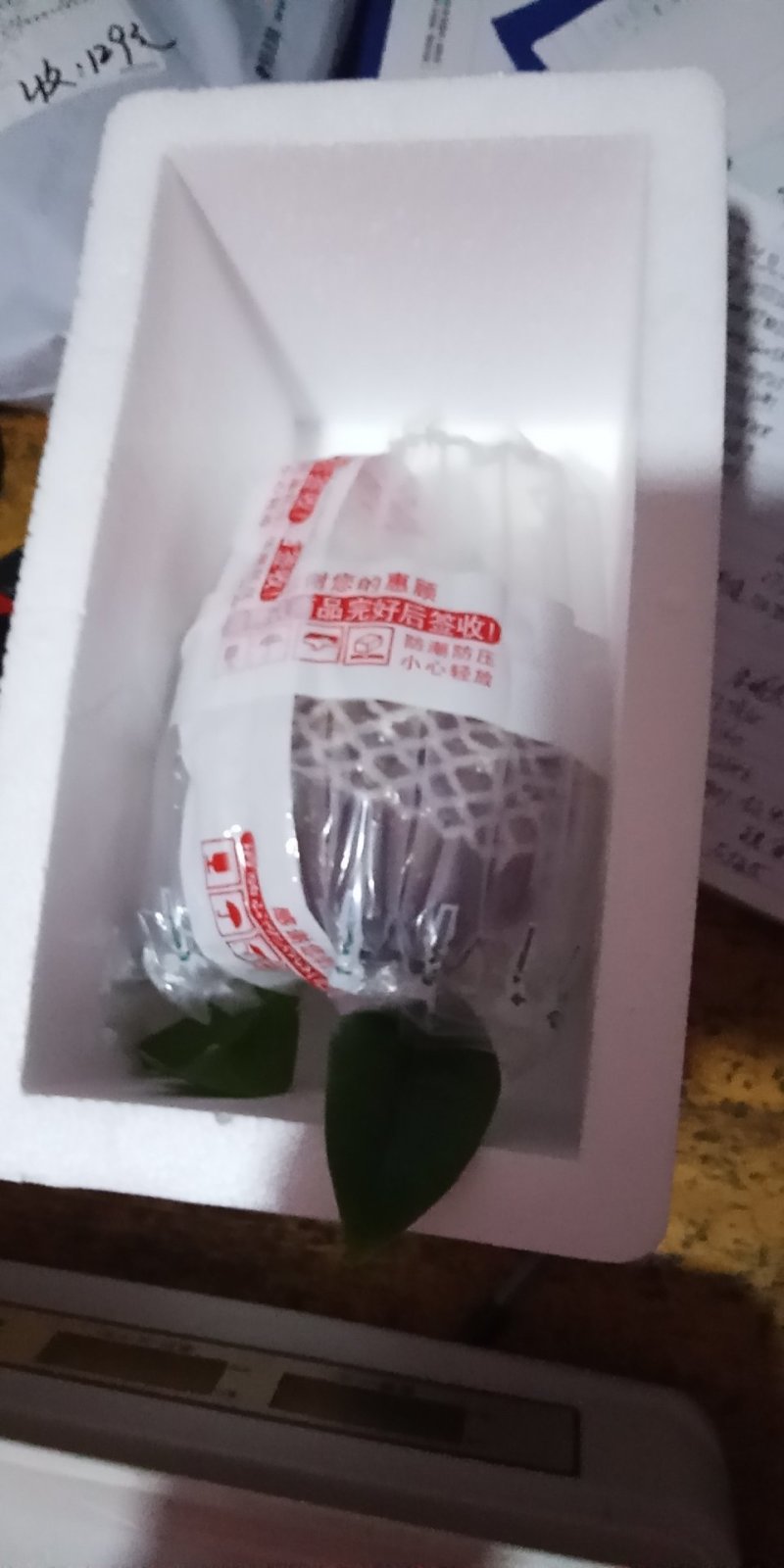 黑老虎，专为客户一件代发，现摘先包装，一斤起批，烂果包赔