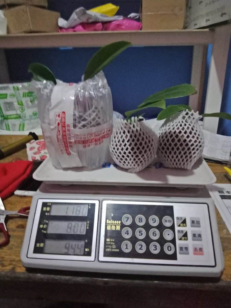 黑老虎，专为客户一件代发，现摘先包装，一斤起批，烂果包赔